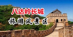 騒网站中国北京-八达岭长城旅游风景区